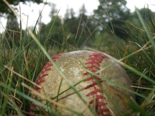 baseball-in-grass
