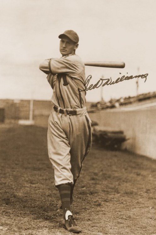 Ted Williams Minor Leagues 1938