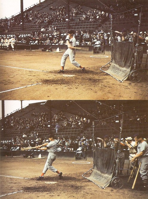 Ted Williams at Lane Field in 1941