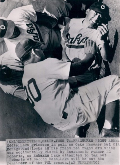 1952 Oakland Oaks