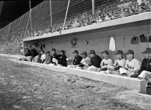 Seattle Rainiers 1955