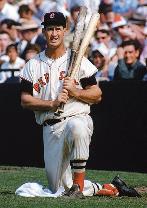 Ted Williams On Deck