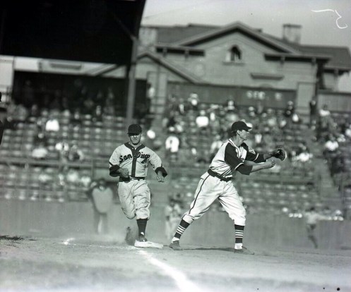 PCL Padres 1939 Dom Dellessandro