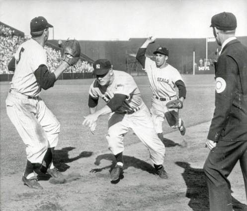 mickey-mantle-san-francisco-seals